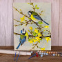 Duo de Mésanges Bleues et Printemps Jaune Peinture Par Numéro Oiseaux