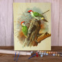 Duo de Pics Verts : Éclat de Forêt Peinture Par Numéro Oiseaux