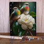 Duo d'Oiseaux Arc-en-Ciel sur Fleur Blanche Peinture Par Numéro Oiseaux
