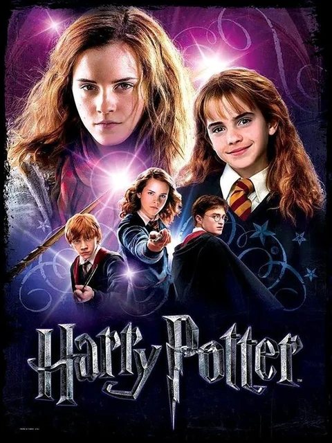 Résultat final du tableau Harry Potter Serie N.