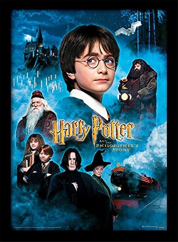 Résultat final du tableau Harry Potter Serie O.