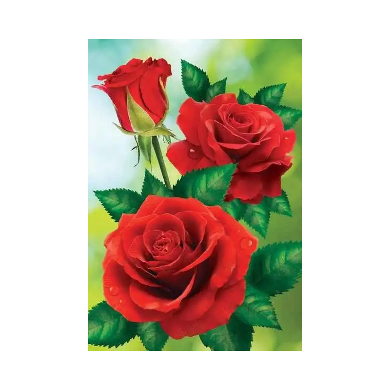 Resultat final du tableau Éclat de Roses Rouges Fraîches