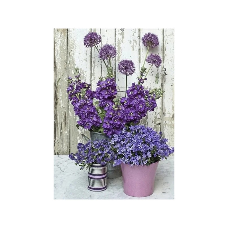 Resultat final du tableau Vase de Fleurs Sauvages et Baies